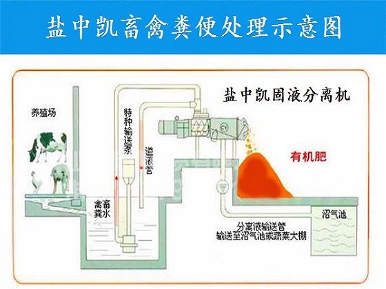 猪粪榴莲视频下载大全机